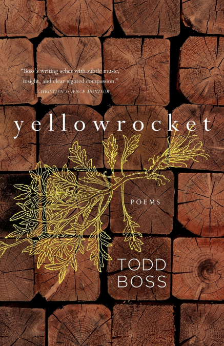 Yellowrocket