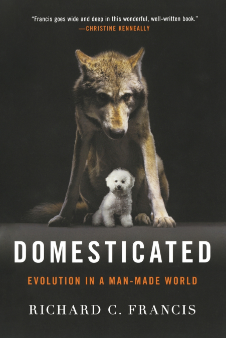 Domesticated