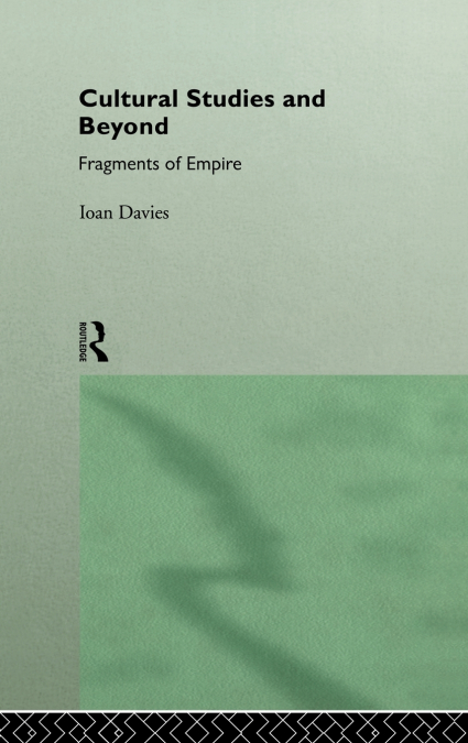 Cultural Studies and Beyond