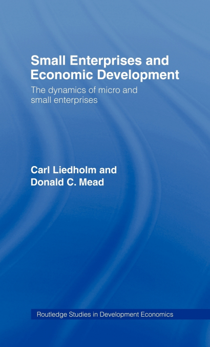 Small Enterprises and Economic Development