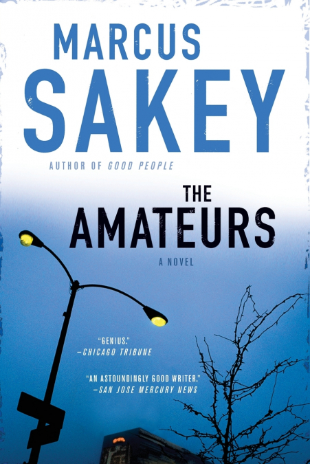 The Amateurs