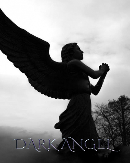 Dark Angel Journal