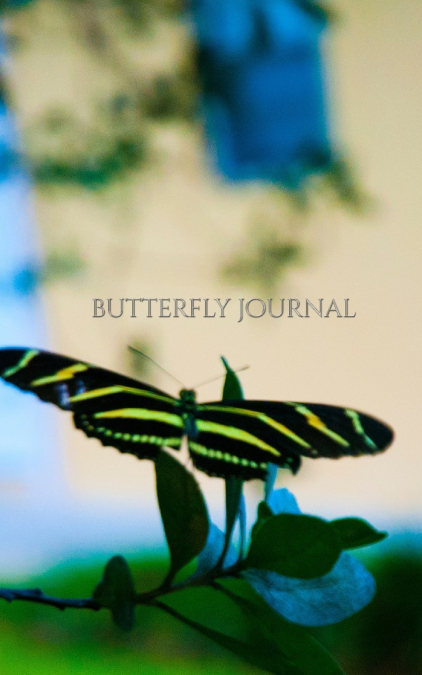 butterfly  Creative  Journal