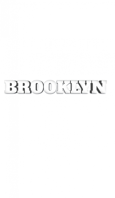 Brooklyn  New York Creative Journal