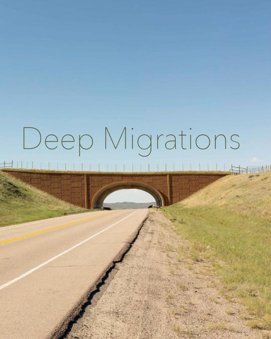 Deep Migrations