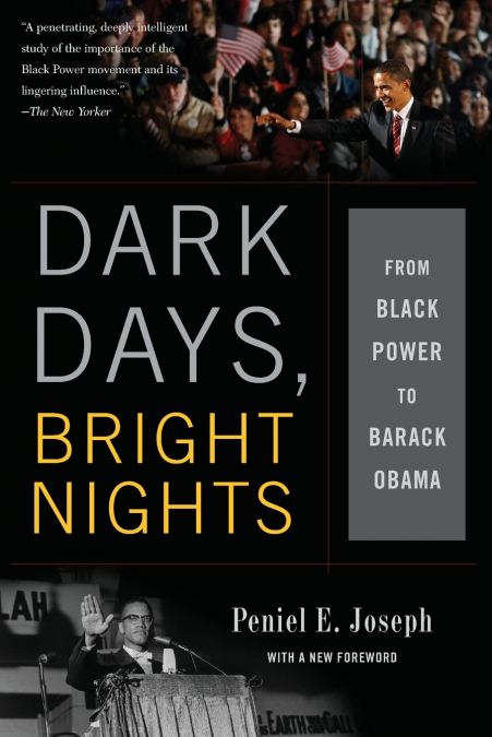 Dark Days, Bright Nights