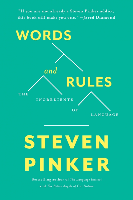 Words and Rules