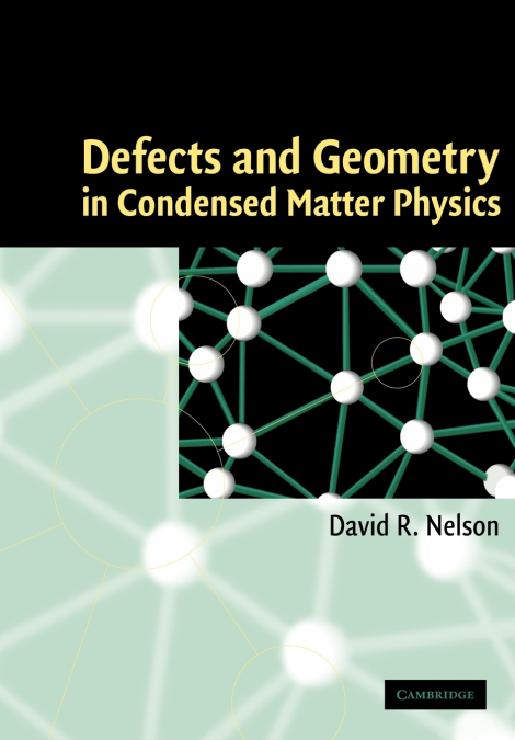 Defects and Geometry in Condensed Matter Physics