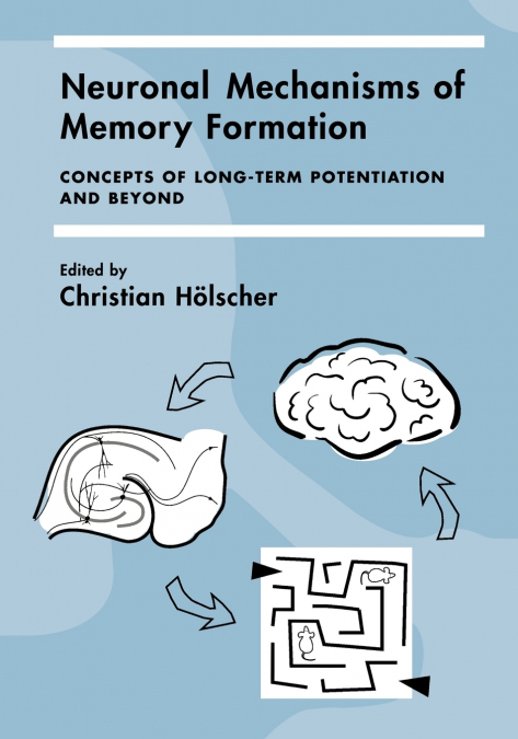 Neuronal Mechanisms of Memory Formation