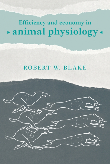Efficiency and Economy in Animal Physiology
