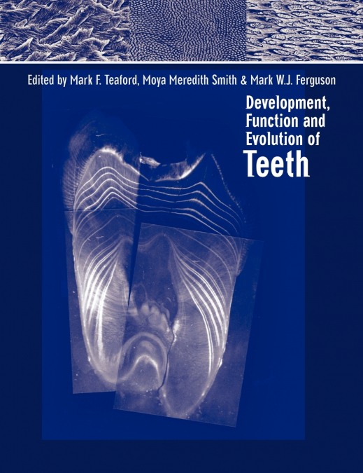 Development, Function and Evolution of Teeth