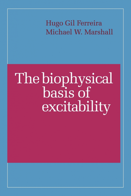 The Biophysical Basis of Excitability