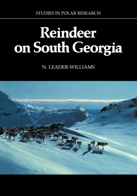 Reindeer on South Georgia