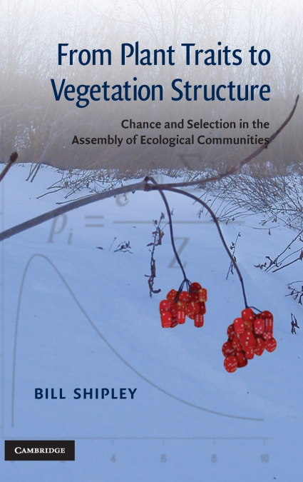 From Plant Traits to Vegetation Structure