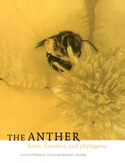 The Anther