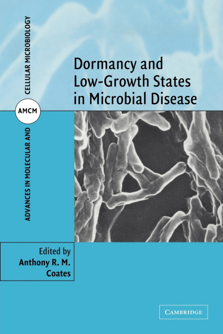 Dormancy and Low Growth States in Microbial Disease