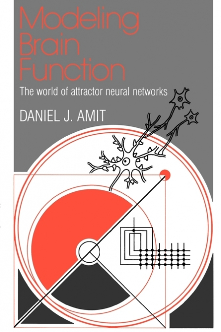 Modelling Brain Function