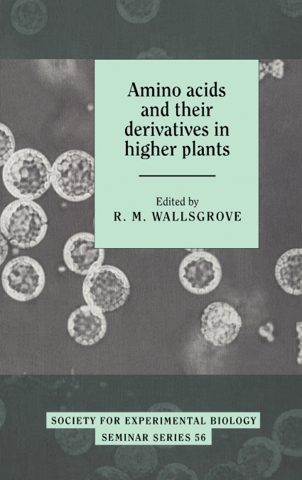 Amino Acids and Their Derivatives in Higher Plants