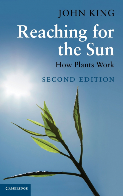 Reaching for the Sun