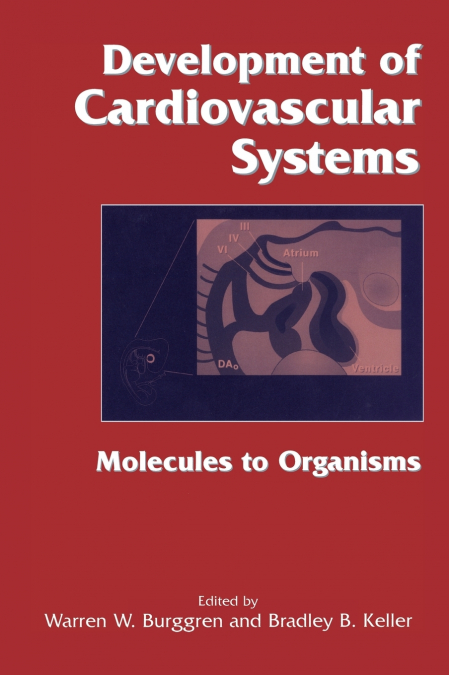 Development of Cardiovascular Systems