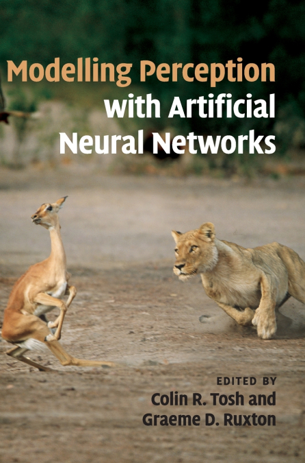 Modelling Perception with Artificial Neural             Networks