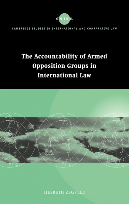 Accountability of Armed Opposition Groups in International Law