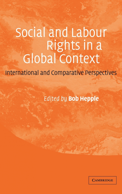 Social and Labour Rights in a Global Context