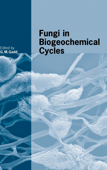 Fungi in Biogeochemical Cycles