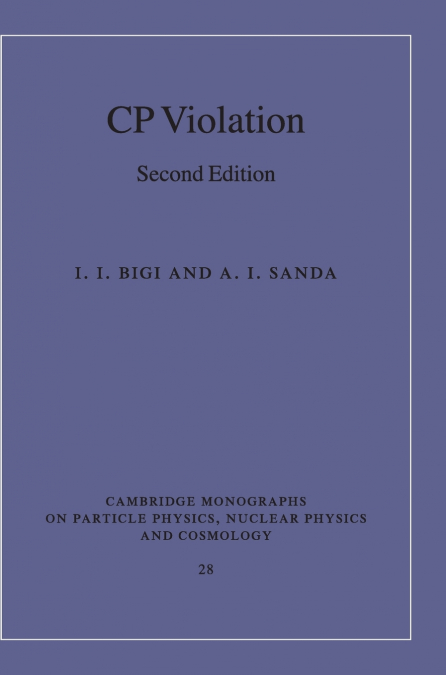 CP Violation