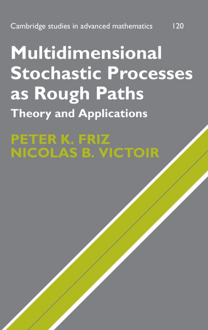 Multidimensional Stochastic Processes as Rough Paths