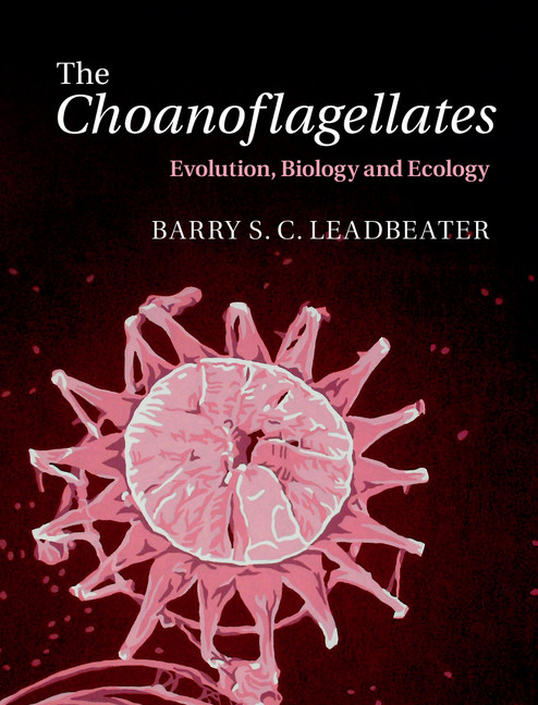 The Choanoflagellates