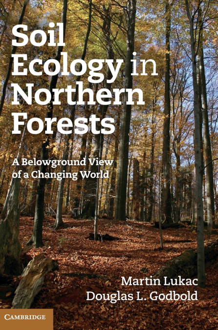 Soil Ecology in Northern Forests