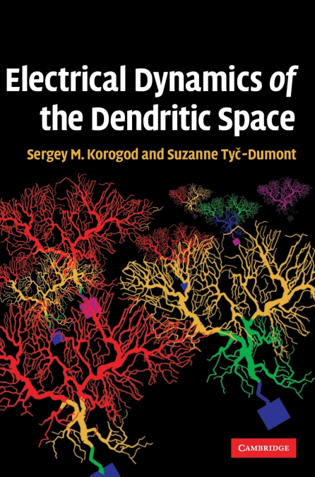 Electrical Dynamics of the Dendritic Space