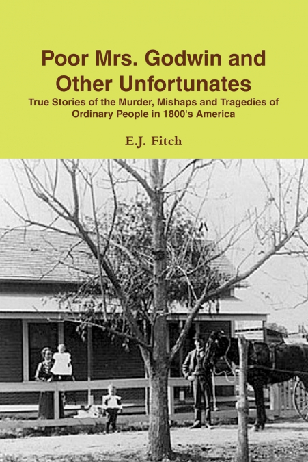 Poor Mrs. Godwin and Other Unfortunates