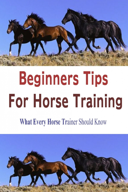 BEGINNERS TIPS FOR HORSE TRAINING