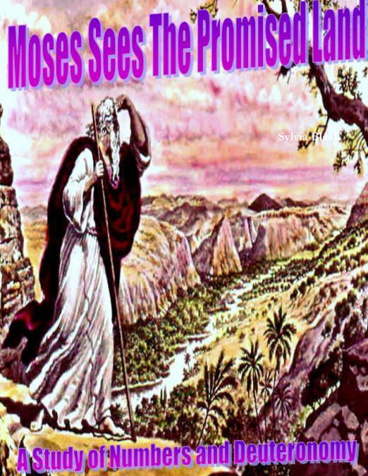 'Moses Sees the Promised Land' A Study of Numbers and Deuteronomy