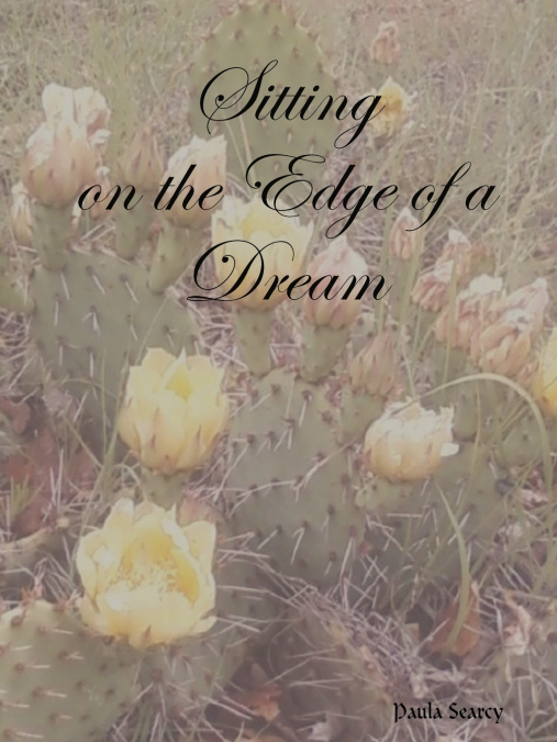 Sitting on the Edge of a Dream