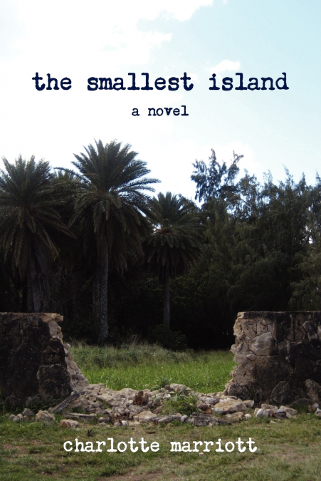 The Smallest Island