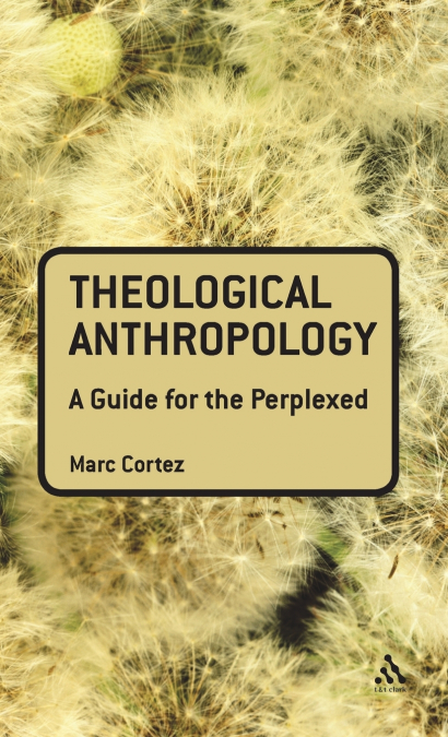 Theological Anthropology