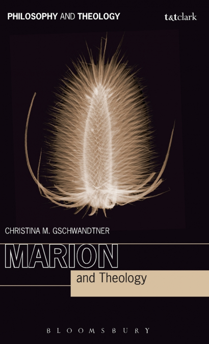 Marion and Theology