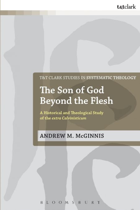 The Son of God Beyond the Flesh