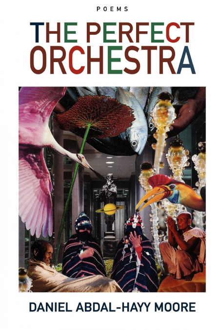The Perfect Orchestra / Poems