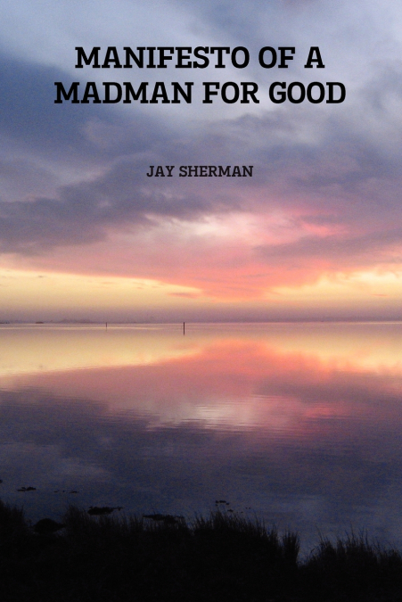 MANIFESTO OF A MADMAN FOR GOOD