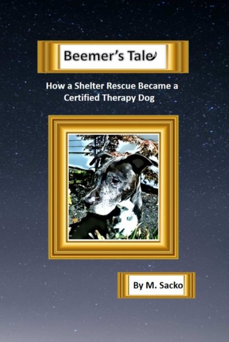 Beemer’s Tale How a Shelter Rescue Became a Certified Therapy Dog