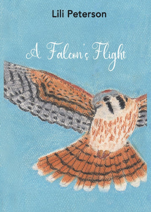 A Falcon’s Flight