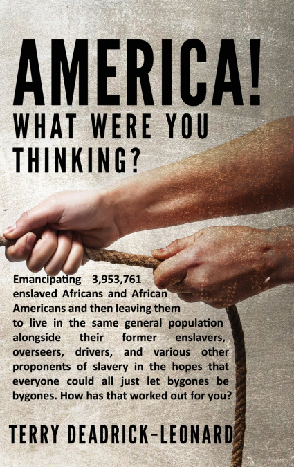 America! What Were You Thinking?