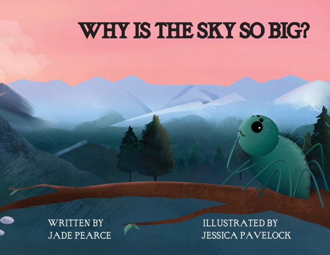WHY IS THE SKY SO BIG?