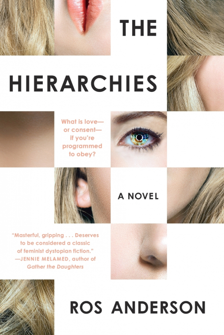 The Hierarchies