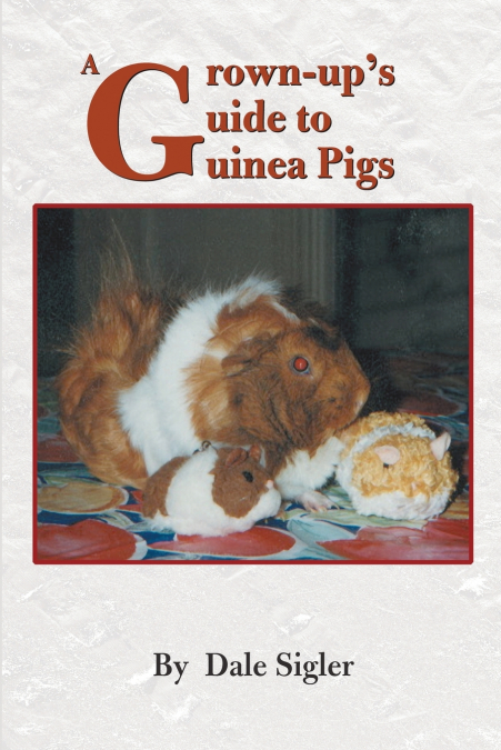 A Grown-Up’s Guide to Guinea Pigs
