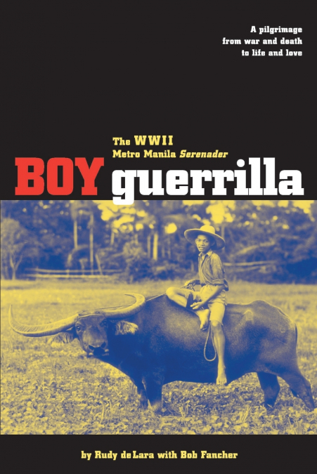 Boy Guerrilla